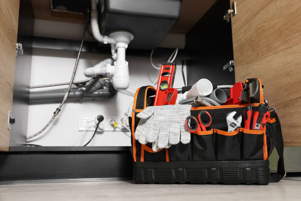 Best Clogged Drain Plumber  in North St Paul, MN